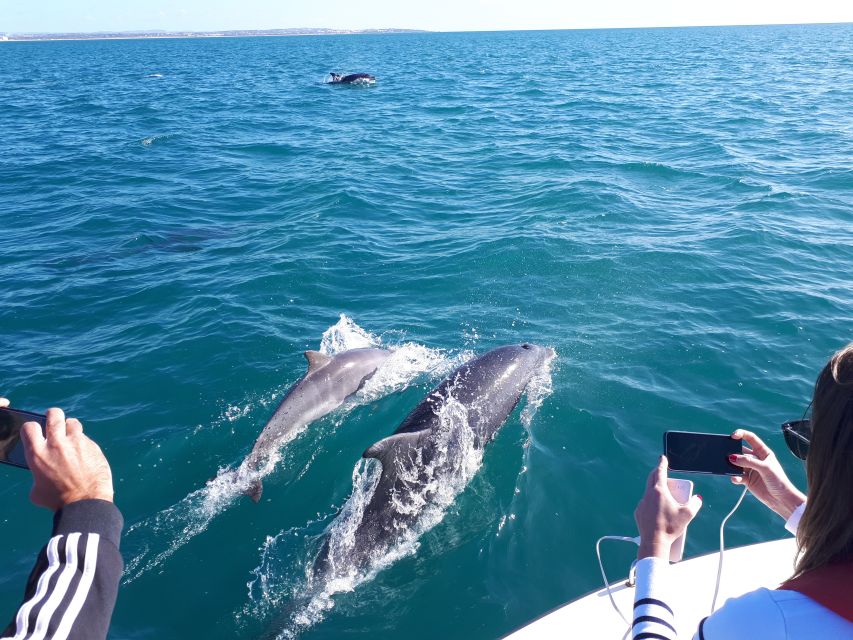 Algarve: Boat Trip to the Caves of Benagil - The cave route from Paraíso to Benagil