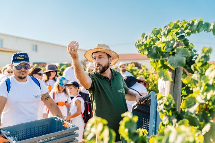 Algarve: Classic Wine Tour & Tasting in Silves - Three wines, three different comparisons
