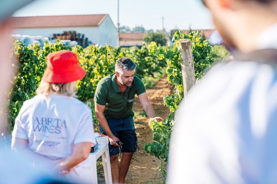 Algarve: Classic Wine Tour & Tasting in Silves - Getting there from Silves and the coast