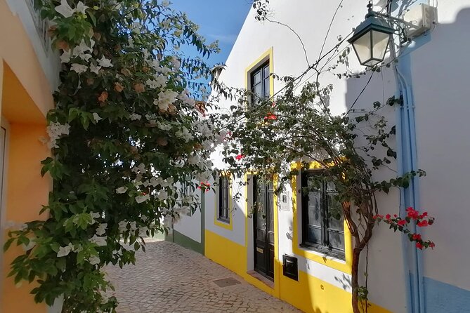 Algarve Coast Full-Day Private Tour - Pinhão Beach and the final cliff views