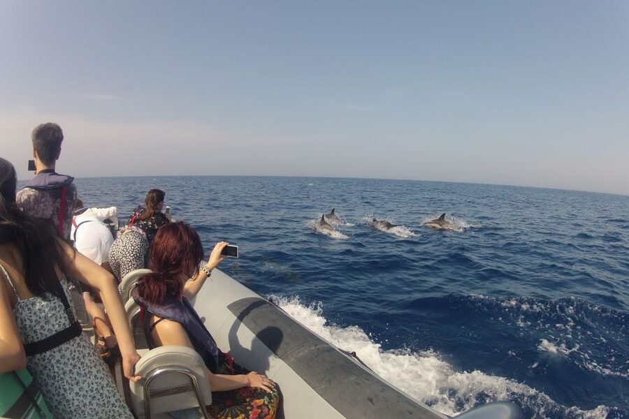 Algarve Dolphin Watching & Marine Life Eco Tour - Is $64 a fair price?