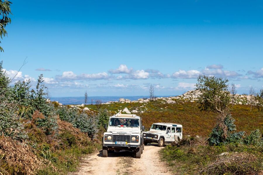 Algarve: Full-Day Guided Sightseeing Tour with Lunch - Why this route gives you more than a beach transfer