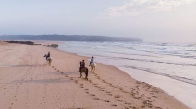 Horse Riding Beach Tour at Sunset or Morning