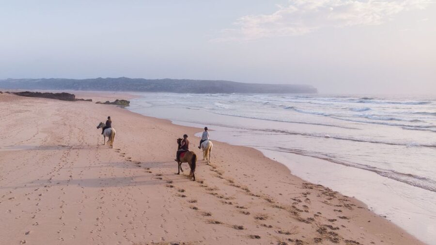 Algarve: Horse Riding Beach Tour at Sunset or Morning - Pine trees, wild fruit, and country paths