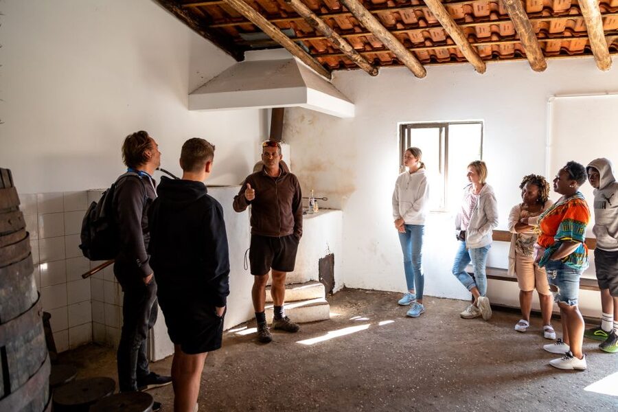 Algarve: Jeep Safari with Distillery Visit & Lunch - Inside a small medronho distillery