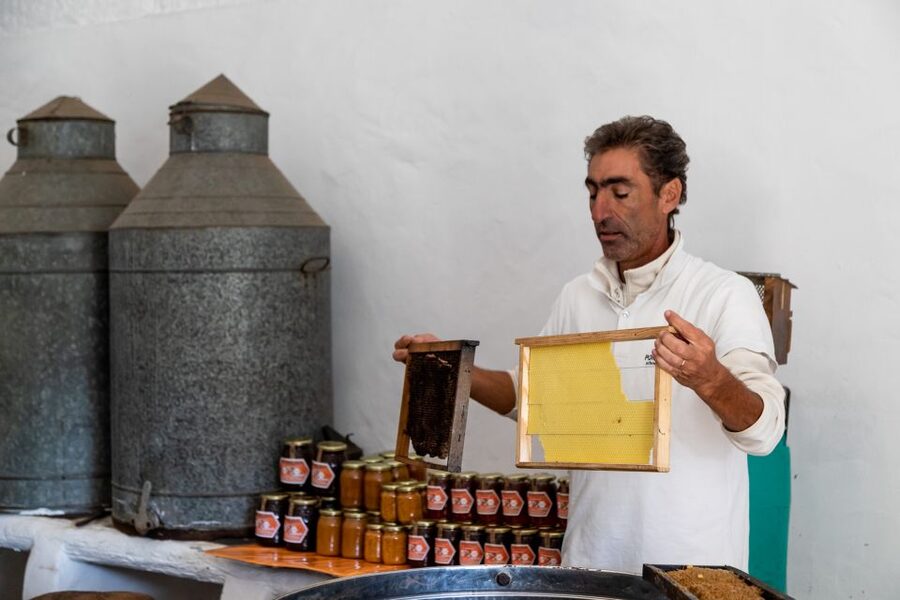 Algarve: Jeep Safari with Distillery Visit & Lunch - Lunch at a traditional restaurant