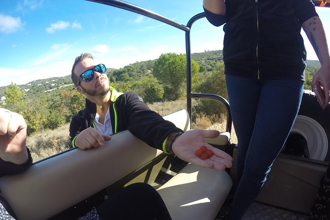Algarve Safari - Full Day Tour from Albufeira w / lunch - Funcho Dam: wide views across the valleys
