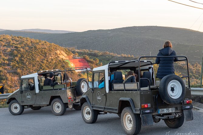 Algarve Safari - Full Day Tour from Albufeira w / lunch - Starting at 9:00 am in Albufeira
