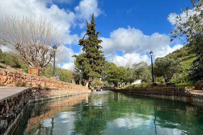 Algarve Safari - Half Day from Albufeira - The guides shape the whole morning