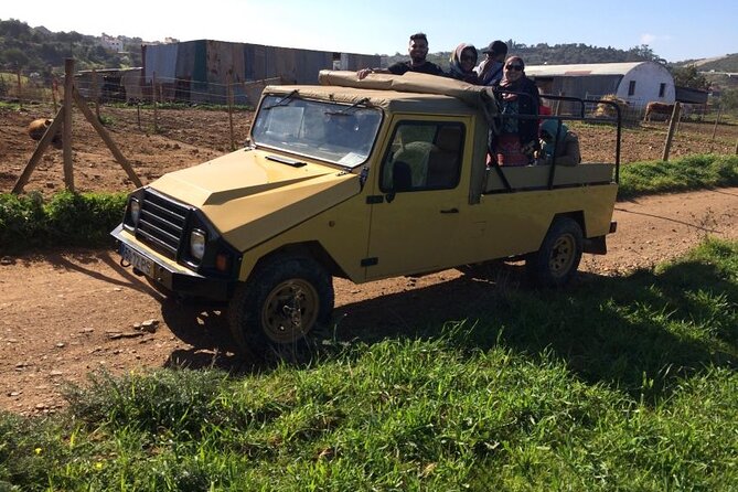 Algarve Sunset Experience - Half Day Jeep Safari Trip - São Bartolomeu de Messines: The Sunset Finale