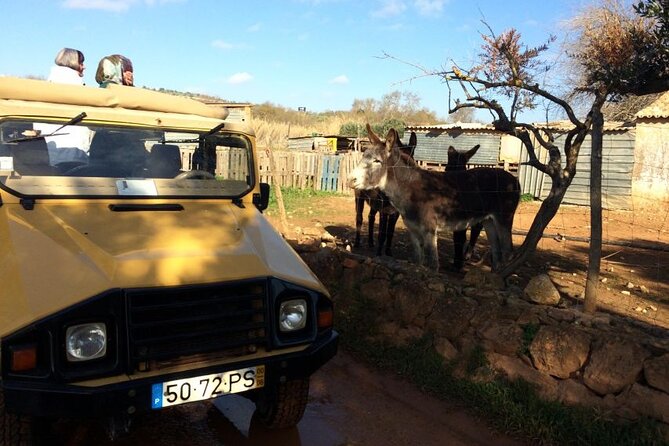 Algarve Sunset Experience - Half Day Jeep Safari Trip - Is $35.95 a Good Price?
