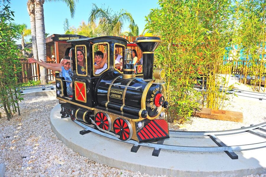 Algarve: Zoomarine Amusement Park Entry Ticket - What makes Zoomarine Algarve different