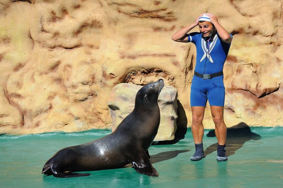Algarve: Zoomarine Amusement Park Entry Ticket - Zoomarine Beach and the water attractions