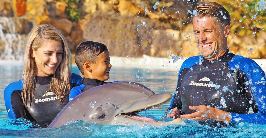 Algarve Zoomarine Ticket and Dolphin Emotions Experience - Key points at a glance