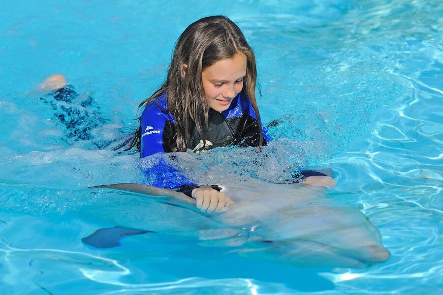 Algarve Zoomarine Ticket and Dolphin Emotions Experience - Meeting the bottlenose dolphins at Zoomarine