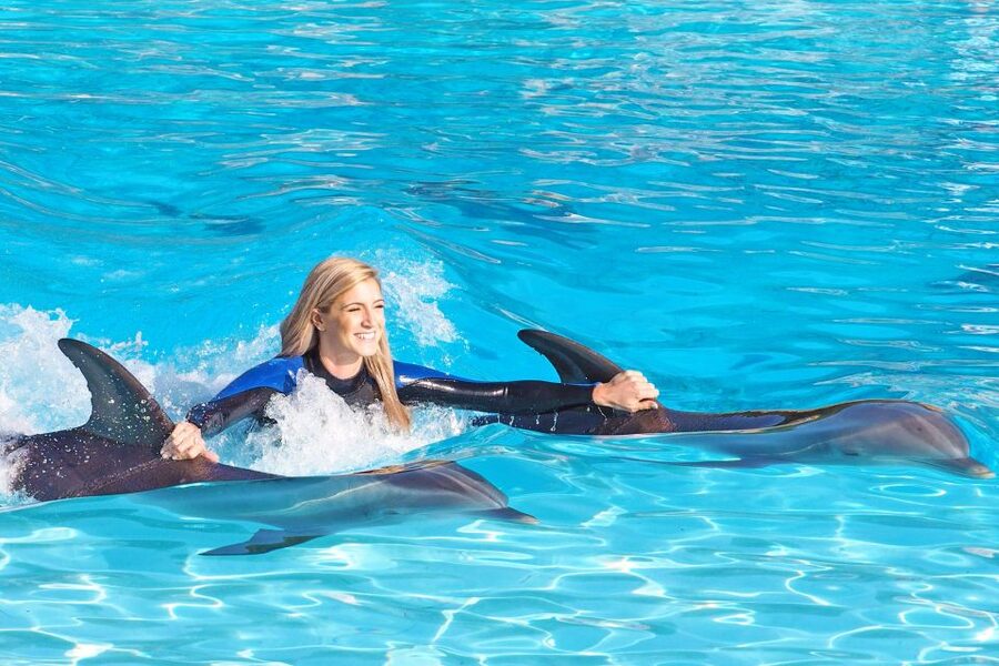 Algarve Zoomarine Ticket and Dolphin Emotions Experience - The Exclusive session for two people