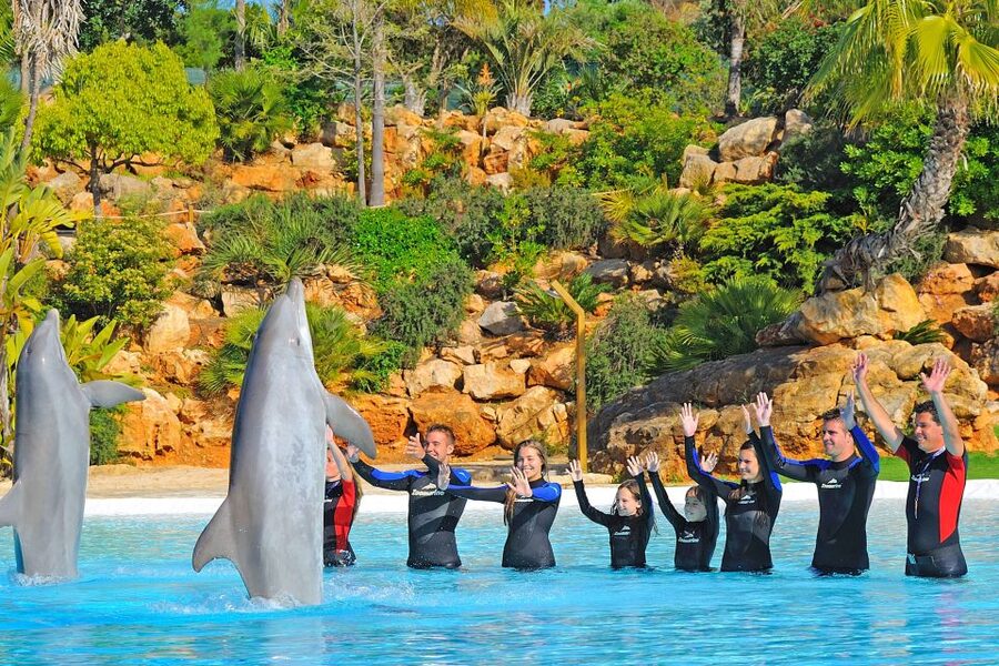 Algarve Zoomarine Ticket and Dolphin Emotions Experience - What the trainer-led session feels like