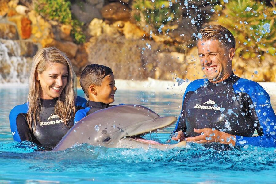 Algarve Zoomarine Ticket and Dolphin Emotions Experience - Why the Zoomarine ticket changes the value