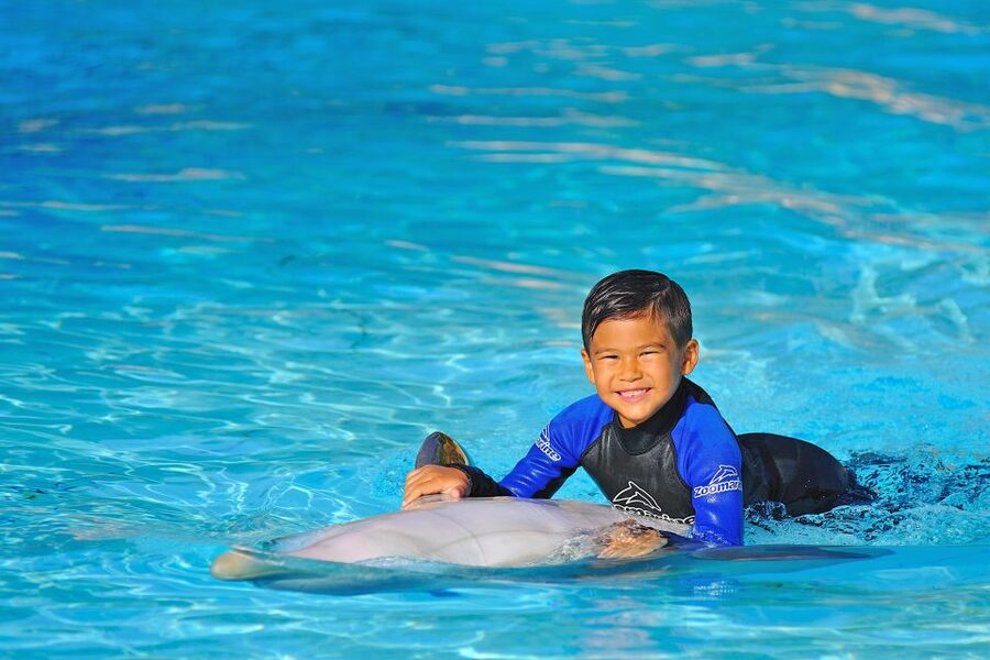 Algarve Zoomarine Ticket and Dolphin Emotions Experience - Who should choose Encounter and who should choose Exclusive