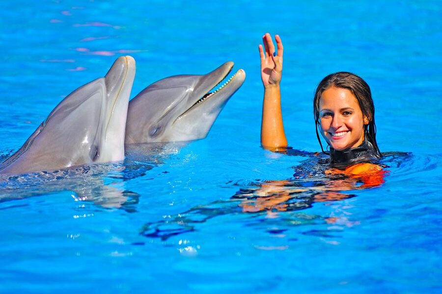 Algarve Zoomarine Ticket and Dolphin Emotions Experience - The small frustrations to plan around