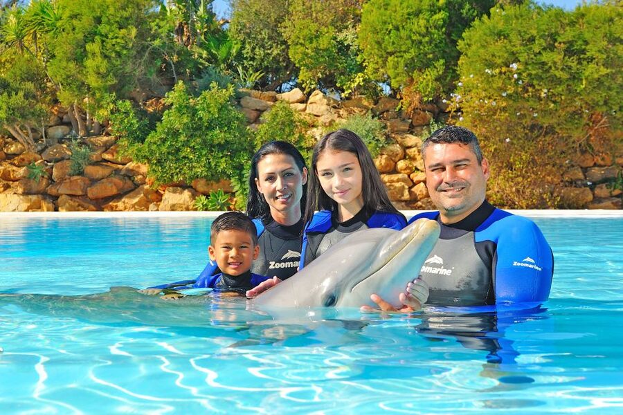 Algarve Zoomarine Ticket and Dolphin Emotions Experience - The Encounter option and its 15 minutes in the water