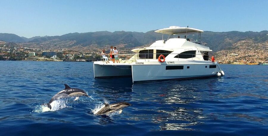All Inclusive Whale and Dolphin Watching Luxury Tour - Setting off from Funchal’s new marina