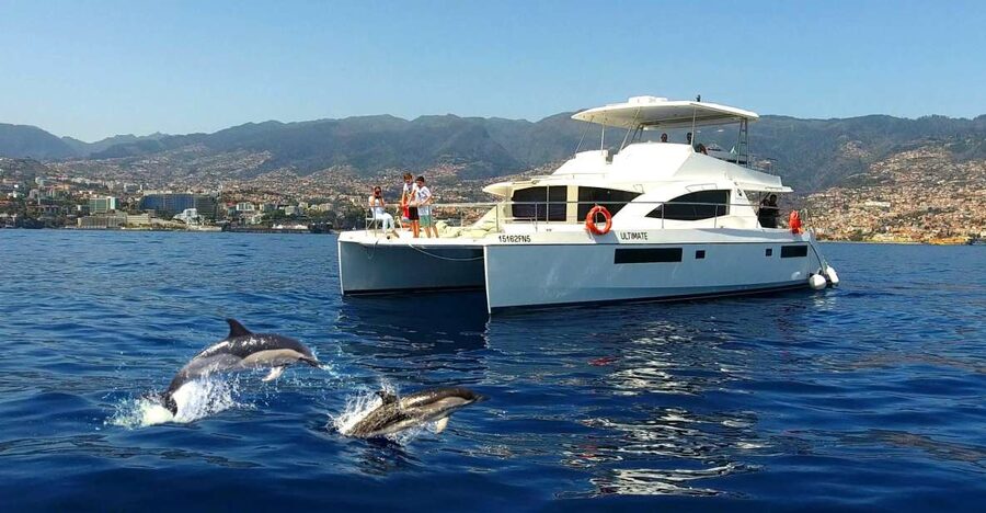 All Inclusive Whale and Dolphin Watching Luxury Tour - The secret stop and the pleasures between sightings