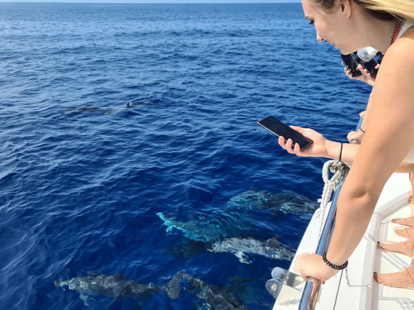 All Inclusive Whale and Dolphin Watching Luxury Tour - Returning along the Funchal coast