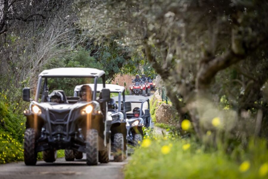 Almancil: Algarve Guided Off-Road Buggy Adventure - What This Algarve Buggy Tour Really Is