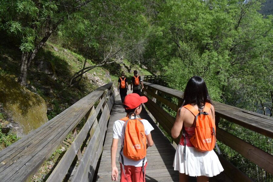 Alvarenga: Paiva Walkways and 516 Arouca Bridge Guided Tour - Why this four-hour outing is worth considering