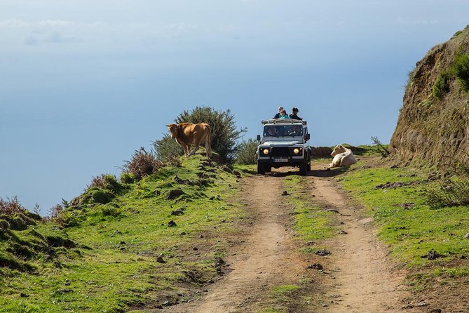 Amazing West - Jeep Safari Tour - Full Day - Shared Tour - Five things to know before booking