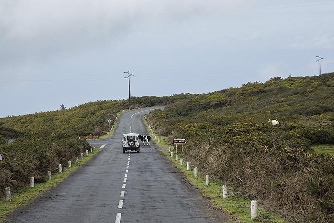 Amazing West - Jeep Safari Tour - Full Day - Shared Tour - The 1,400-meter plateau above the clouds