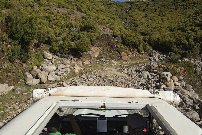 Amazing West - Jeep Safari Tour - Full Day - Shared Tour - Porto Moniz and the volcanic swimming pools