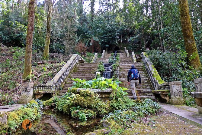 An adventure through the Forest and Palace of Bussaco - Coimbra - Key points to know before you go