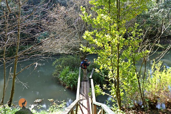 An adventure through the Forest and Palace of Bussaco - Coimbra - Adernal, Portas de Coimbra, and the smaller stops