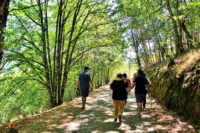 An adventure through the Schist Villages of Lousã - Starting from Coimbra with a private pickup