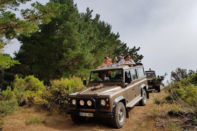 Arieiro Peak, Santo Serra, Cristo Rei in Open Roof 4x4 Experience - Pico do Arieiro is the main event