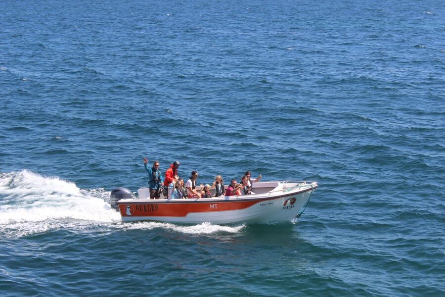 Armação de Pêra: Guided Boat Tour of Benagil's 15 Best Caves - Albandeira Arch and the coast’s natural sculptures