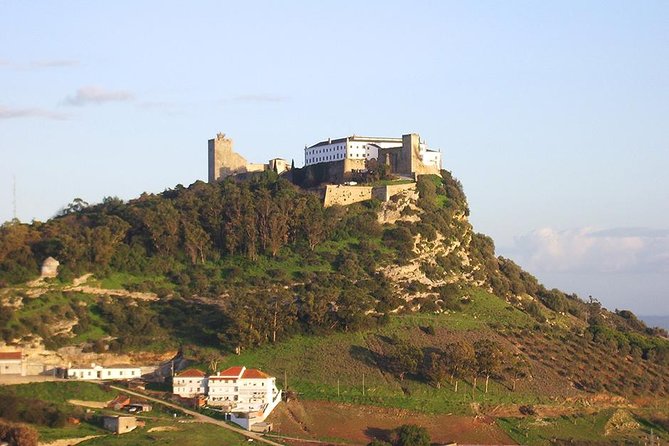 Arrabida and Sesimbra Small-Group Day Trip from Lisbon with Wine Tasting - A family winery in the heart of Arrábida