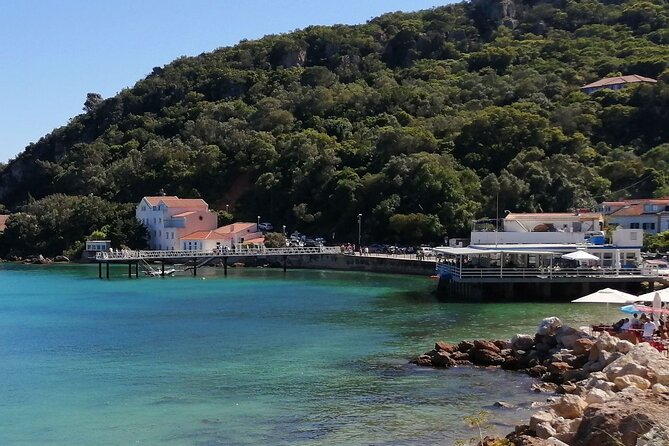Arrábida: Beach, Nature & History - A forest found only in Portugal