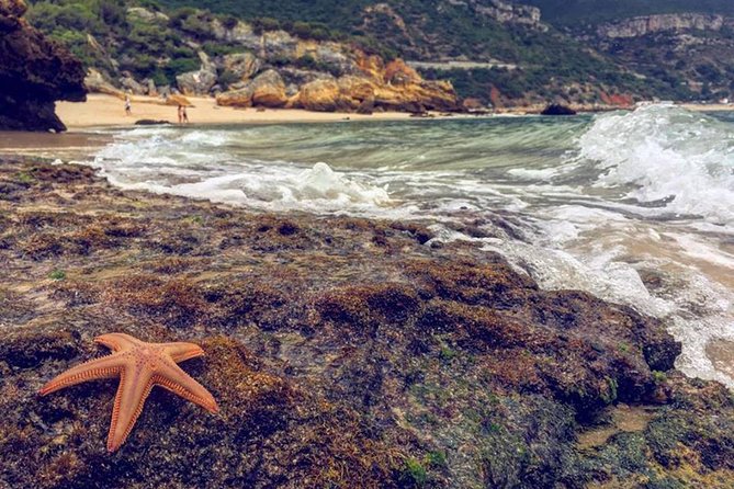 Arrabida Safari – Europe's Most Beautiful Beach & Hidden Gems - Crossing the 25 April Bridge into a different Portugal