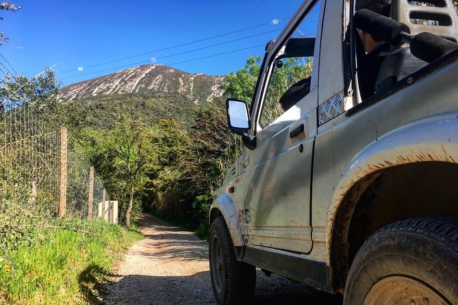 Arrabida Safari – Europe's Most Beautiful Beach & Hidden Gems - Forest roads through Arrábida Natural Park
