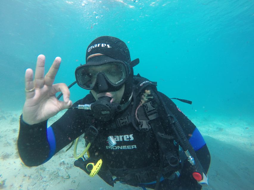 Arrábida - Sesimbra: Eco-Friendly Beginner's Scuba Diving - Key points before you book