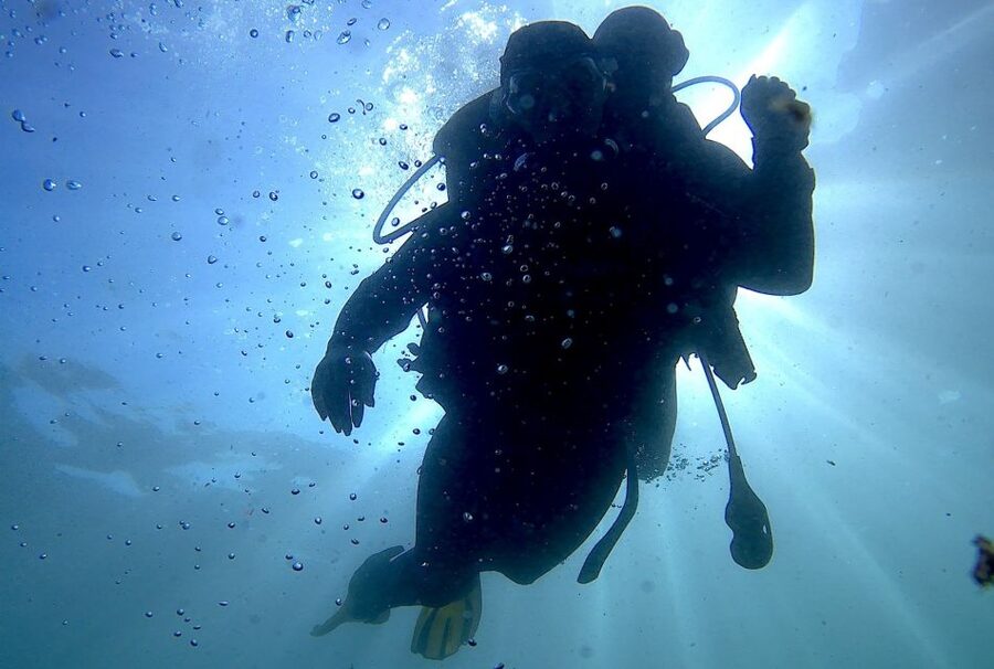 Arrábida - Sesimbra: Eco-Friendly Beginner's Scuba Diving - The first hour: safety, communication, and marine awareness