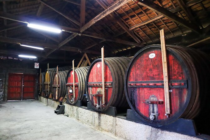 Authentic Small Group Douro Wine Tour with Lunch & River Cruise - Quinta do Tedo or another first winery