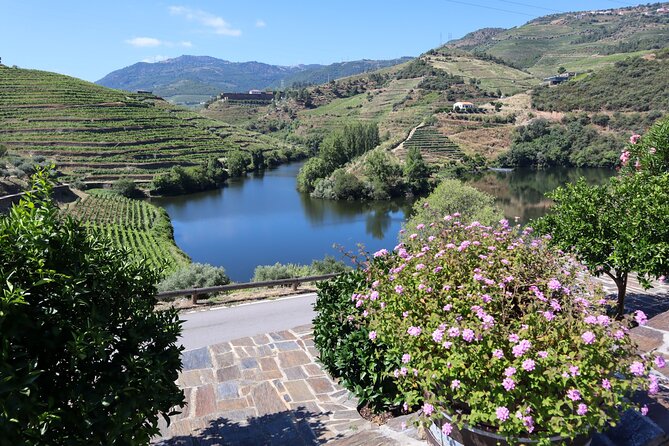 Authentic Small Group Douro Wine Tour with Lunch & River Cruise - The guide can shape the whole day