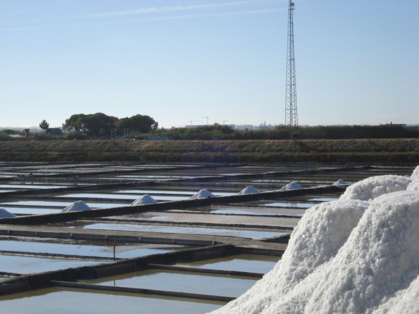 Aveiro: Boat Cruise and City Walking Tour with Sweet Tasting - Key points at a glance