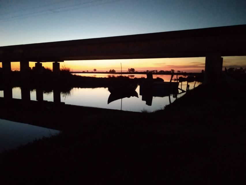 Aveiro: Boat Cruise and City Walking Tour with Sweet Tasting - Starting at Aveiro’s spiritual center