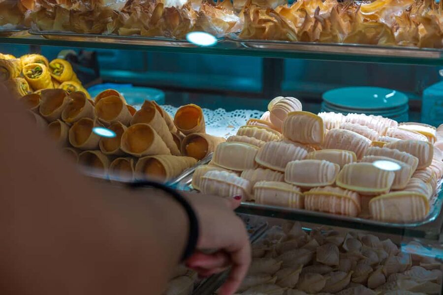 Aveiro: Half-Day Tour from Porto with Cruise - What the schedule really gives you