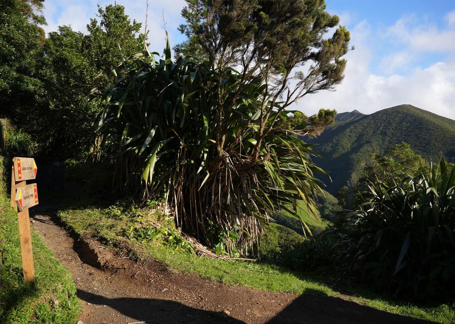 Azores: São Miguel and Lagoa do Fogo Hiking Trip - Should you book the Lagoa do Fogo hike?